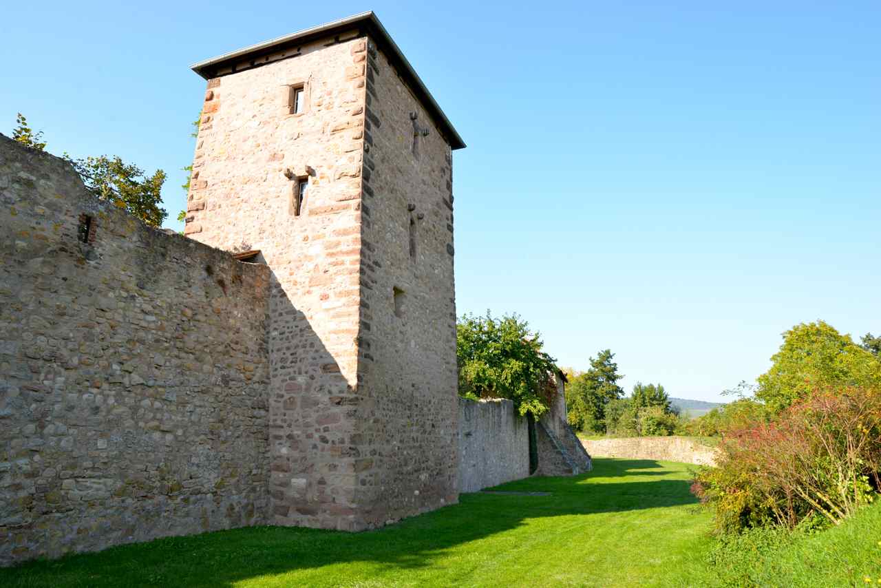 Bergheim